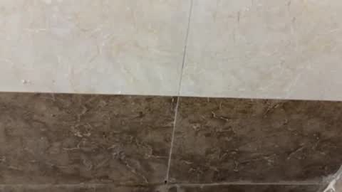 Snapshot of samnivin chatting on 11/01/25, 05:04 samnivin online show from 11/01/25, 05:04