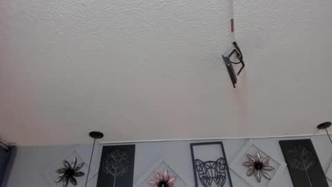 Samy  online show from 10/23/25, 11:42