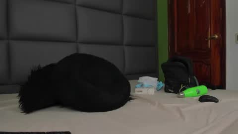 santi online show from 03/11/25, 06:30