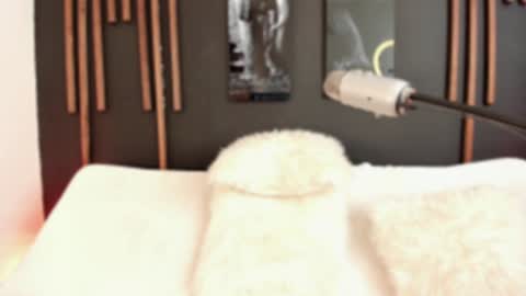     online show from 12/09/24, 04:58