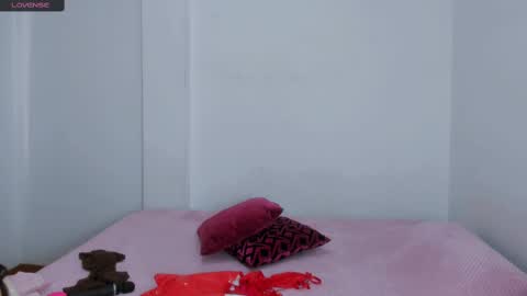 Snapshot of sarasweet_4 chatting on 03/05/25, 05:29 Sara online show from 03/05/25, 05:29