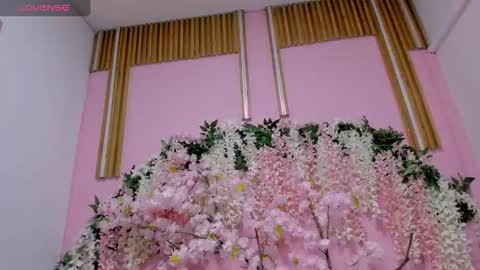 Snapshot of sarenlux chatting on 10/01/25, 11:49 Baby Saren online show from 10/01/25, 11:49