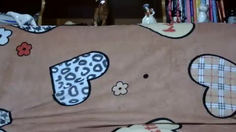 Sarra online show from 12/02/24, 05:26