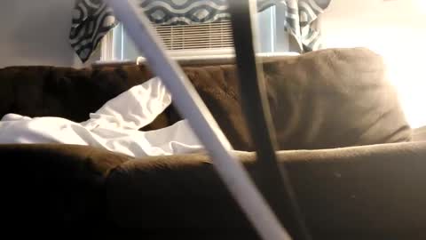 Snapshot of sayhi2mylilguy chatting on 02/27/25, 07:15 sayhi2mylilguy online show from 02/27/25, 07:15