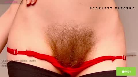 Snapshot of scarlett_electra chatting on 12/27/24, 07:14 SCARLETT ELECTRA - online show from 12/27/24, 07:14