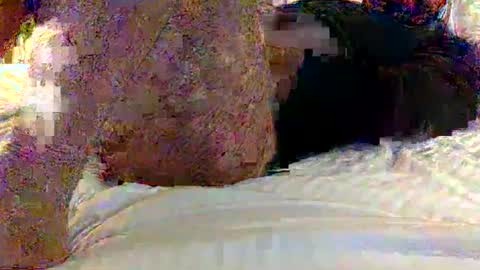 dick online show from 02/01/25, 12:16