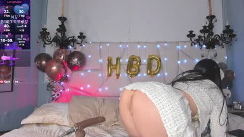 Snapshot of selenee__ chatting on 12/18/24, 03:55 Selenee online show from 12/18/24, 03:55