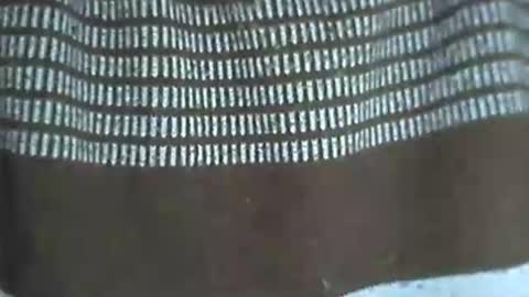 selim selim online show from 11/14/25, 10:18