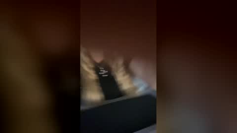 Alina online show from 11/25/25, 10:15