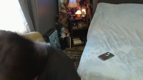 Snapshot of sentfrmheaven chatting on 02/02/25, 04:00 Tara online show from 02/02/25, 04:00