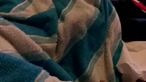 Snapshot of sexplorer54321 chatting on 02/03/25, 01:30 Sexplorer54321 online show from 02/03/25, 01:30