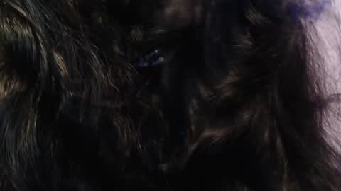    online show from 01/15/25, 03:33