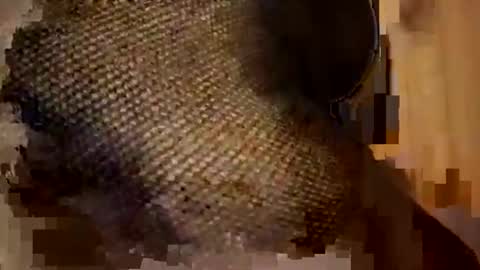 Snapshot of sexycplluv chatting on 11/09/25, 11:25 Forever Erotica online show from 11/09/25, 11:25