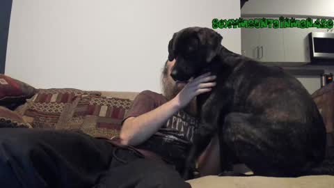 Snapshot of sexymountainman420 chatting on 12/24/24, 07:06 Sexymountainman420 online show from 12/24/24, 07:06