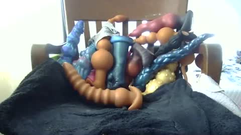 shakespeareisahomie online show from 11/16/25, 03:06