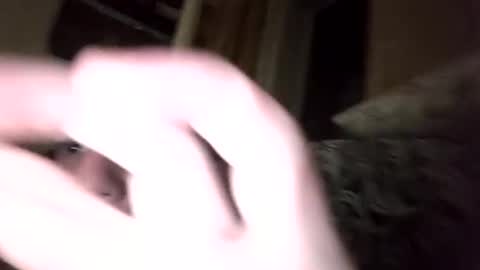 Shamilka online show from 09/17/25, 07:59