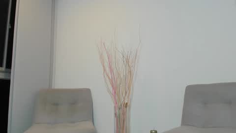 onlyfans shanabellucy online show from 02/01/25, 11:37