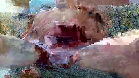 excelo21 online show from 10/26/25, 07:14