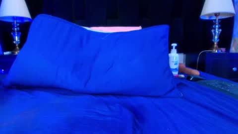 Snapshot of shelsy_loreds chatting on 01/11/25, 04:03 Shelsy online show from 01/11/25, 04:03