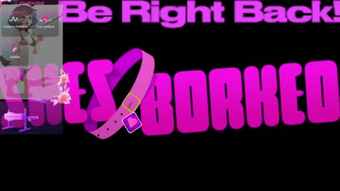 Snapshot of shesborked chatting on 01/04/25, 02:56 Gina online show from 01/04/25, 02:56