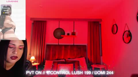 Snapshot of sheyla_hills_ chatting on 01/30/25, 04:06 Sheyla online show from 01/30/25, 04:06