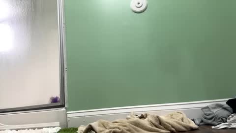 Sasha online show from 02/27/25, 09:36