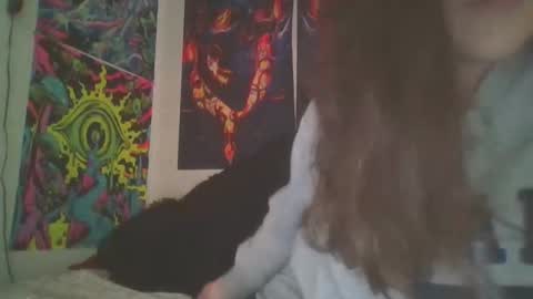 Snapshot of shymilf535 chatting on 12/18/24, 03:47 RBXs Princess online show from 12/18/24, 03:47