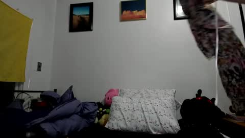 Snapshot of sierrasquirter chatting on 01/23/25, 04:41 Sierra online show from 01/23/25, 04:41