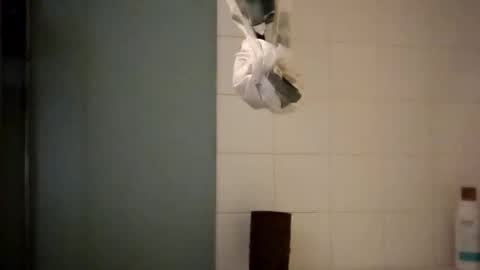 Snapshot of sigmaelixer chatting on 10/18/25, 08:37 sigmaelixer online show from 10/18/25, 08:37