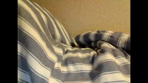 sircamalot45 online show from 02/17/25, 01:36