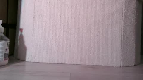 Snapshot of sis19student chatting on 12/03/25, 02:19 Anal4BTC online show from 12/03/25, 02:19