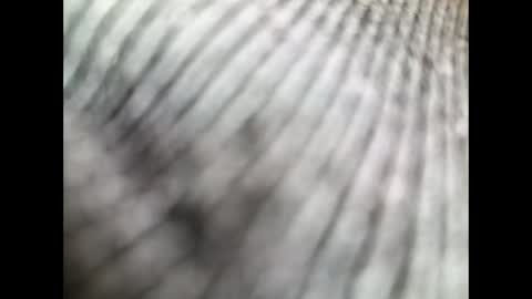 Darren from  online show from 11/19/25, 09:42