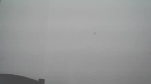 skady_coronado online show from 11/11/25, 06:08