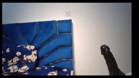 skinnyasssexyboobs online show from 11/05/25, 04:29