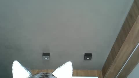 Snapshot of skinnykittencam chatting on 10/07/25, 04:59 skinnykittencam online show from 10/07/25, 04:59