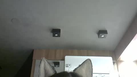 Snapshot of skinnykittencam chatting on 10/24/25, 02:08 skinnykittencam online show from 10/24/25, 02:08