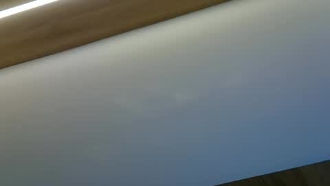 Snapshot of skinnykittencam chatting on 10/29/25, 08:54 skinnykittencam online show from 10/29/25, 08:54