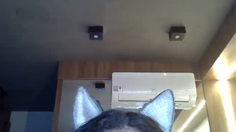Snapshot of skinnykittencam chatting on 11/10/25, 08:46 skinnykittencam online show from 11/10/25, 08:46