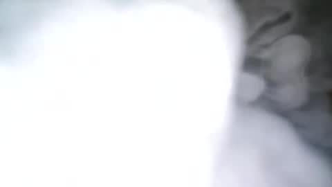 Snapshot of skyonetoo3 chatting on 10/21/25, 10:21 skyonetoo3 online show from 10/21/25, 10:21