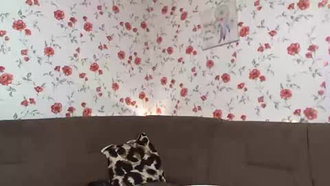 Snapshot of skysupernova chatting on 12/10/24, 01:00 Sky online show from 12/10/24, 01:00