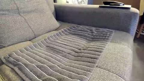 slaterboyyy online show from 11/06/25, 01:06