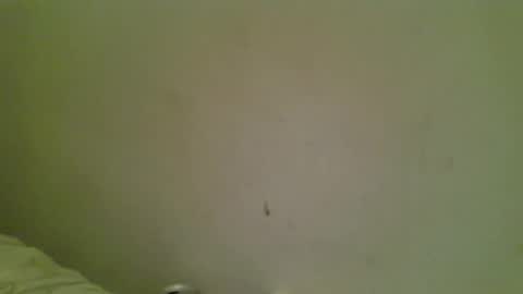 Bottmboitwink online show from 10/18/25, 06:16