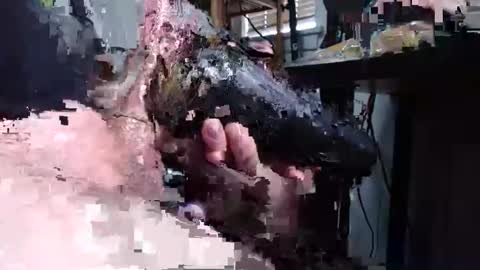 sliderguy699 online show from 12/15/24, 04:59