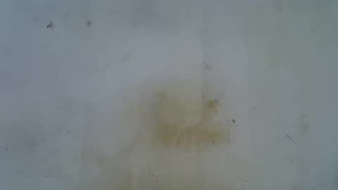 slim_girl3 online show from 10/22/25, 07:19