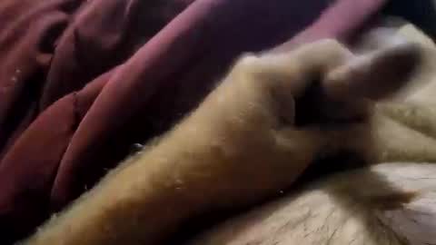 slitlicke69696969 online show from 09/19/25, 01:56