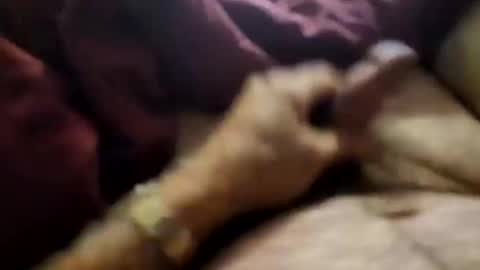 slitlicke69696969 online show from 09/21/25, 10:28