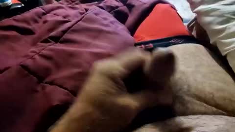 slitlicke69696969 online show from 10/20/25, 09:10