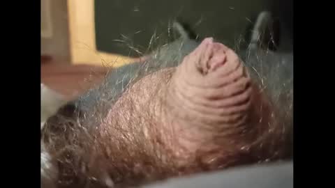 Snapshot of smallhairyuncut chatting on 01/27/25, 03:37 Small Hairy Uncut online show from 01/27/25, 03:37
