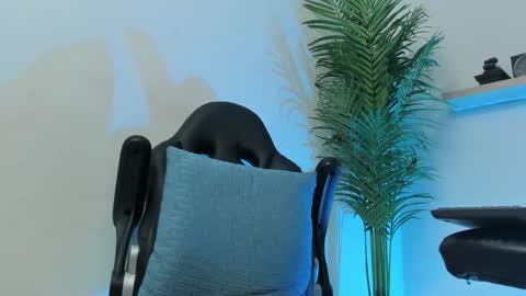 Snapshot of smitgrey chatting on 12/07/24, 09:39 SMIT online show from 12/07/24, 09:39