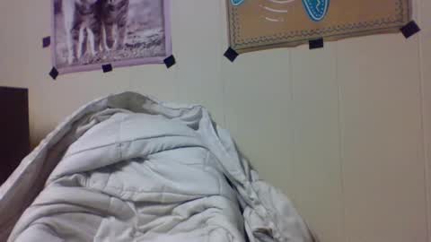 Snapshot of snake1eye67959 chatting on 12/24/24, 12:11 snake1eye67959 online show from 12/24/24, 12:11